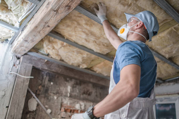Best Eco-Friendly Insulation in Banner Elk, NC